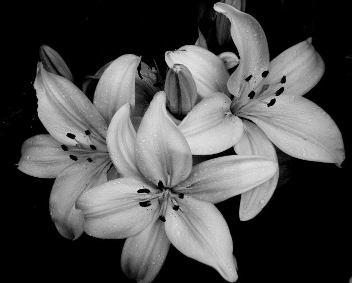Flower product