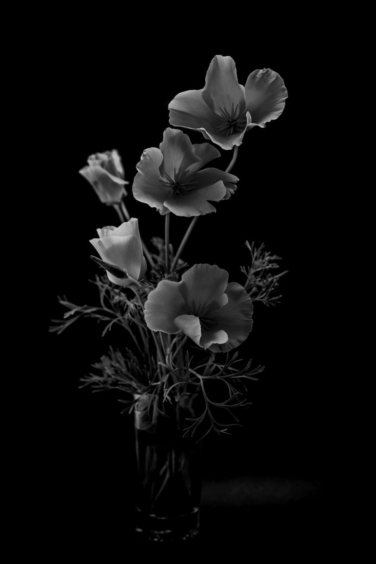 Flower photo